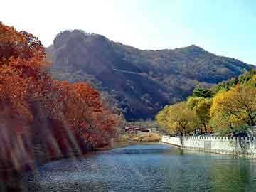 管家婆黑白马报图库，智能压浆